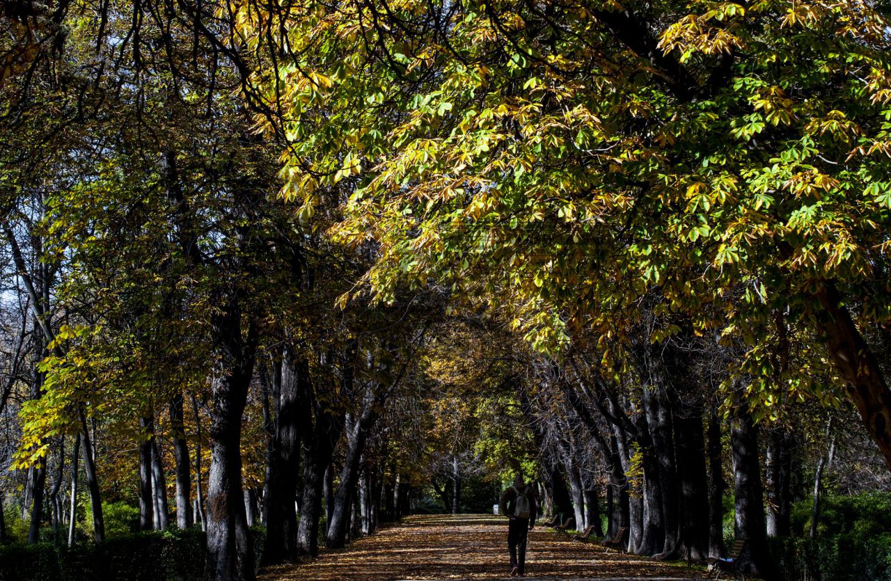 Jardines de El Buen Retiro