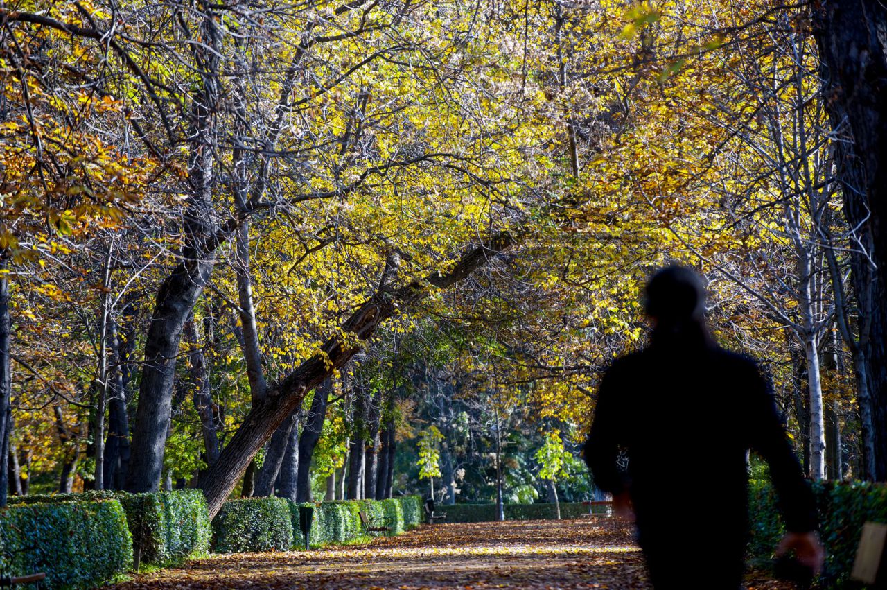 Jardines de El Buen Retiro