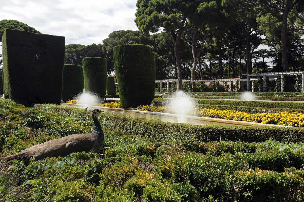 Los Jardines de Cecilio Rodríguez