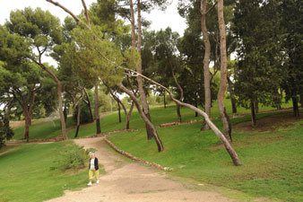 Madrid, bosque urbano