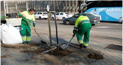 El área de Medio Ambiente ha comenzado la replantación de alcorques vacíos.