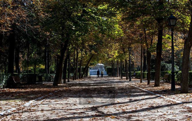 Si pasamos a fase 1, el lunes volverán a abrir los parques, como el Retiro.