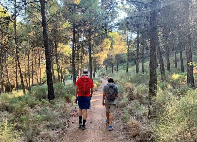 En este atípico verano que nos ha dejado la pandemia, muchas personas optarán por el senderismo y las excursiones a la montaña para pasar sus vacaciones y días de descanso, al ofrecer ventajas como brindarnos aire fresco y favorecer el cumplimiento de la distancia mínima interpersonal. 