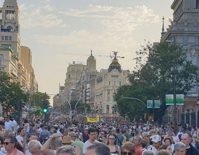 Manifestación de la Plataforma en Defensa de Madrid Central