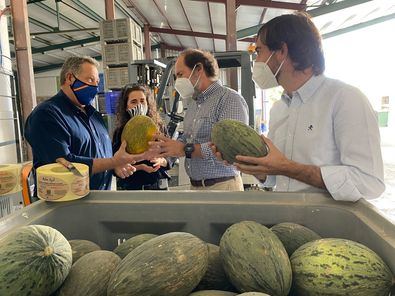 Los melones, de Villaconejos