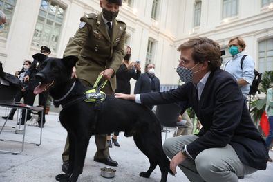 Una jubilación digna, para héroes caninos