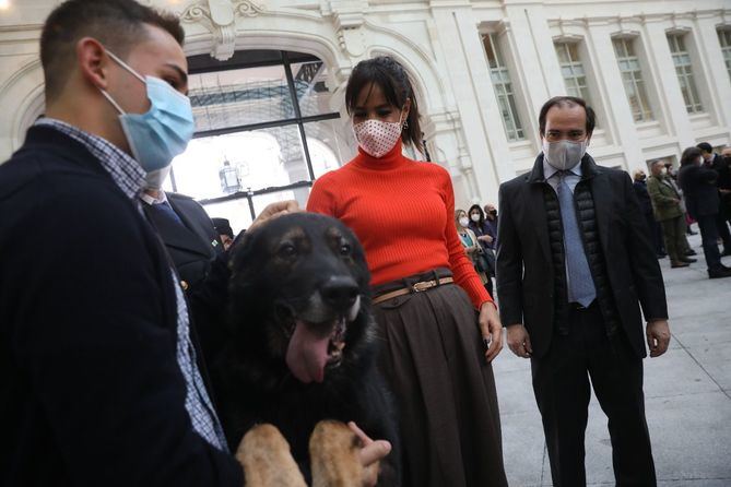 Villacís ha reconocido el servicio social de este tipo de iniciativas y ha indicado que “una sociedad se mide por cómo se trata a los animales”. 