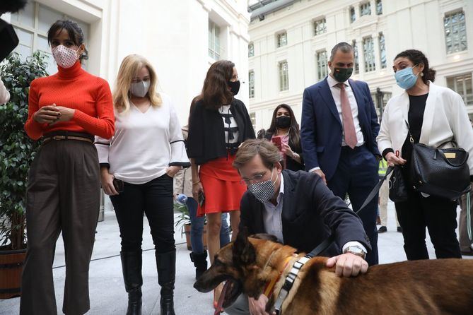 Madrid adopta perros 'jubilados' tras paso por fuerzas de seguridad