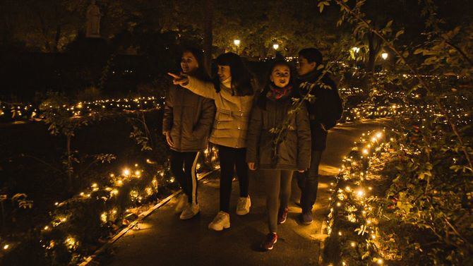 Se trata de una sorprendente propuesta de ocio seguro al aire libre, que abre sus puertas desde el 17 de noviembre de 2020 hasta el 10 de enero de 2021 en el Real Jardín Botánico de Madrid.