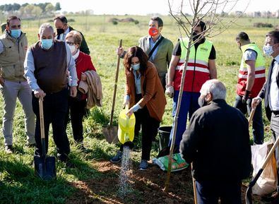 Un biobosque, en el parque de la Alhóndiga