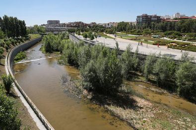 Premio a la renaturalización del Manzanares