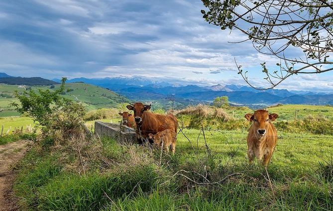 Asturias presentará una imagen inspirada en la naturaleza en Fitur 2021, la Feria internacional de Turismo, que se celebra del 19 al 23 de mayo, en Feria de Madrid.