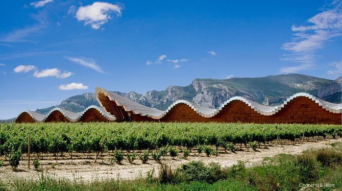 Todas estas rutas del vino conforman un variado turismo enológico que se puede realizar en nuestro país. Una oferta turística ideal para los amantes de este líquido elemento.