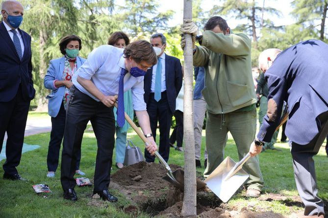 El alcalde y la vicealcaldesa, junto al presidente de Madrid Futuro y representantes de empresas colaboradoras, han participado en la plantación de los primeros ejemplares en El Retiro.