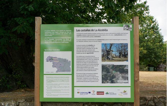 Castaños milenarios, una ermita paleocristiana y una cuesta 'mágica', en el pueblo sanabrés de San Justo