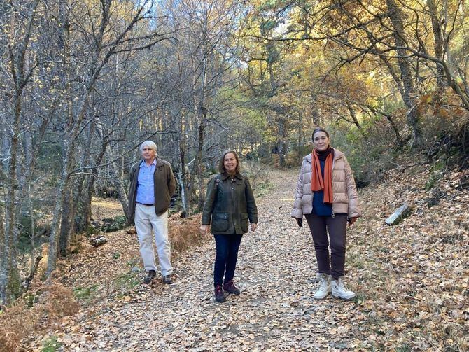 La consejera de Cultura, Turismo y Deporte, Marta Rivera de la Cruz, ha visitado el municipio de Canencia y ha recorrido uno de sus singulares espacios naturales, el abedular, acompañada por la alcaldesa de la localidad, Mercedes López Moreno. El bosque de abedules, una especie muy escasa en la región pero que se conserva en este municipio, se caracteriza por su tronco plateado. 