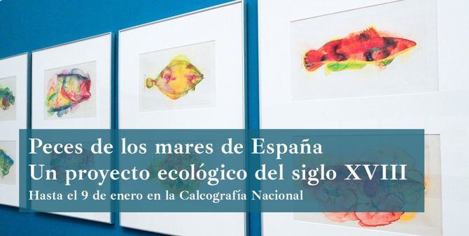 Calcografía Nacional alberga hasta el 9 de enero una exposición con las planchas grabadas y las estampas de esta pionera iniciativa de conservación marítima.