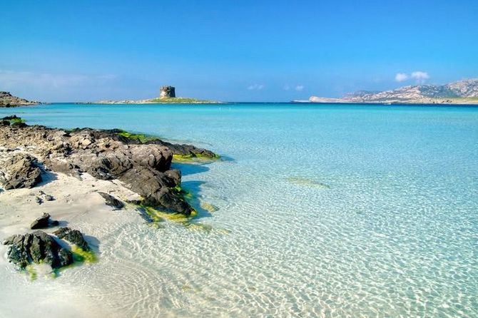 Cerdeña es una mezcla de realidades que, pese a compartir una única identidad, difieren radicalmente en ámbitos como las tradiciones, la gastronomía o el paisaje, que va de las playas paradisíacas a un abrupto y verdísimo interior.