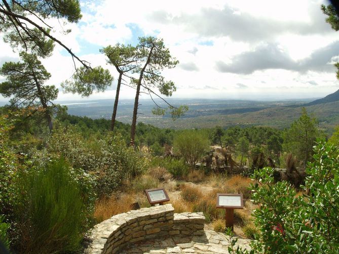  Este Paraje Pintoresco cuenta con más de 200 especies de árboles y arbustos representativos de cada rincón de España.