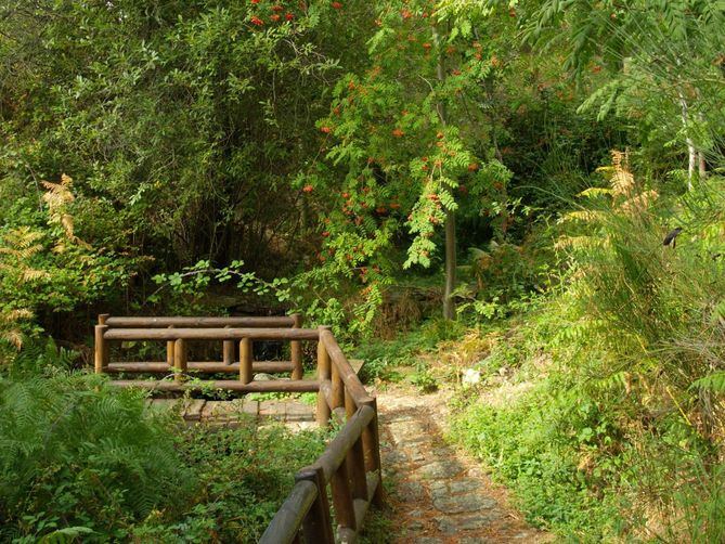 El Arboreto Luis Ceballos, se encuentra situado en la zona de solana del Monte Abantos, en la localidad de San Lorenzo de El Escorial.