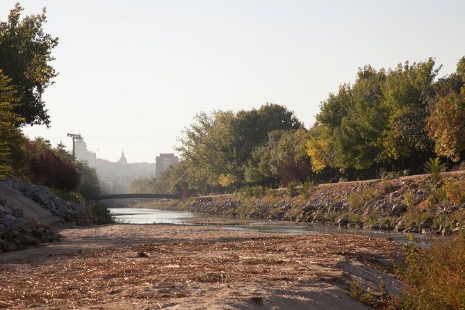 Las asociaciones vecinales de los barrios sureños vuelven a movilizarse para que las administraciones intervengan y recuperen la zona, creando un corredor verde que incluya las dos márgenes del Manzanares desde el nudo Supersur de la M-30 hasta Perales del Río, en Getafe, junto a sus afluentes como el arroyo de La Gavia.

