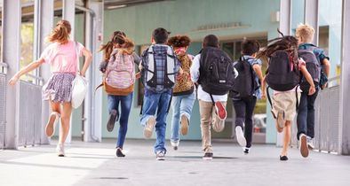 Educación Primaria, con perspectiva de género