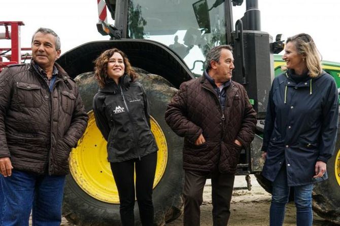 Ayuso ha explicado que se crearán dos nuevas ayudas directas para los agricultores: una que contemplará la superficie de olivo tradicional cultivado y la otra para incentivar las nuevas plantaciones. 