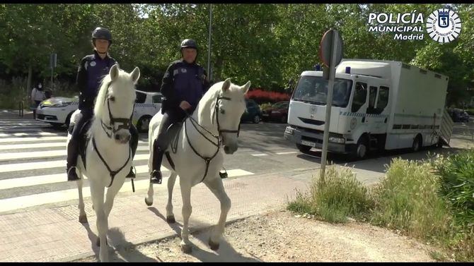 La Policía Municipal ha detenido a 18 personas, la mayoría por delitos contra la salud pública, mientras que Samur-Protección Civil ha realizado más de 80 asistencias sanitarias durante las fiestas del barrio del Pilar.