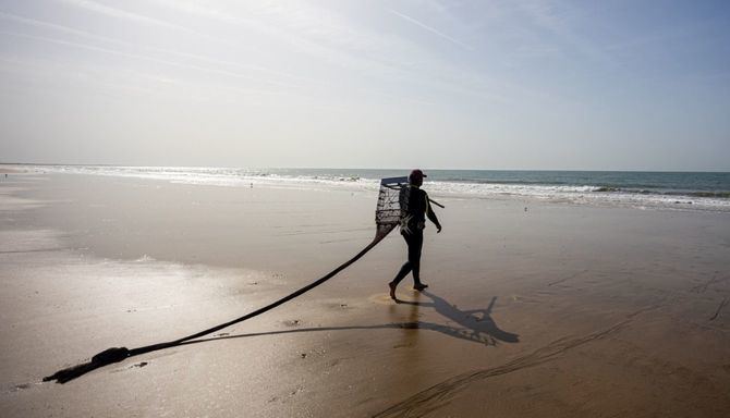 El congreso analizará en esta edición los desafíos de conservación de los océanos en la próxima década tras el histórico acuerdo alcanzado en marzo en la ONU para la protección de los océanos con el ‘Tratado de alta mar’.