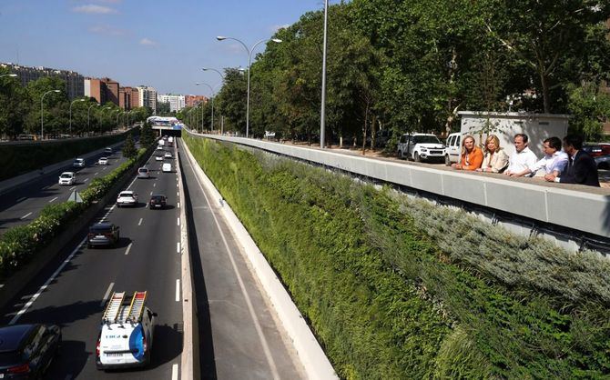 El Ayuntamiento de Madrid concluye la instalación, habiendo actuado sobre 3.250 m2 de superficie para cubrir los muros de hormigón con 23 especies vegetales de alta durabilidad y con capacidad de absorción de agentes contaminantes.