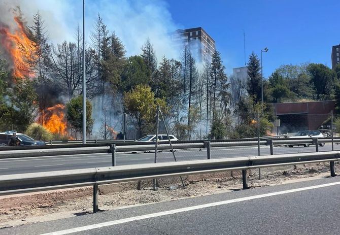 Las llamas, cuyo origen de momento se desconoce, comenzaron sobra las 14.30 horas de este domingo.