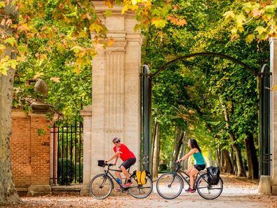 En otoño se ofrece 'Fresas con Música', para participar en el XXX Festival de Música Antigua de Aranjuez, y 'Fresas Ciclistas', que permite descubrir espacios de alto valor ambiental y paisajístico, como los sotos y huertas arancetanas.