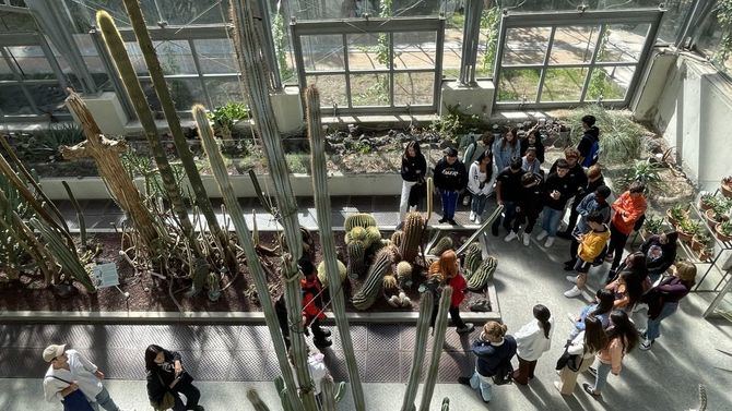 Cuentacuentos sobre Nanociencia, crear témperas a partir de residuos vegetales o descubrir cómo funcionan los propulsores de plasma, otras propuestas destacadas.