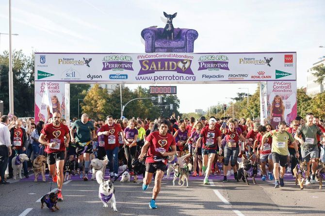 La carrera solidaria Perrotón Madrid 2023 Nicka Run ha celebrado este domingo su duodécima edición con el apoyo institucional del Ayuntamiento de Madrid.