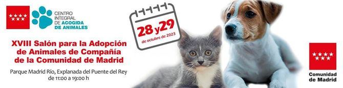 En los nueve primeros meses de 2023, los recursos regionales ya han entregado más de 4.500 perros y gatos a hogares.