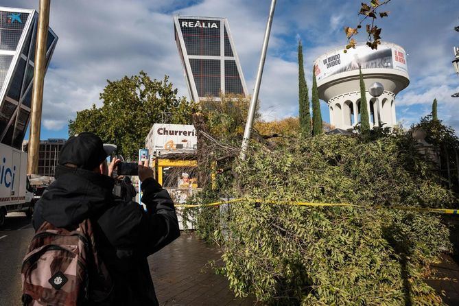 Los Bomberos del Ayuntamiento de Madrid realizaban, desde las 6.00 hasta las 19.30 horas, unas 229 intervenciones. La mayoría de las salidas, por daños en arbolado (142), seguidas de daños en fachadas (38) y otros elementos urbanos.