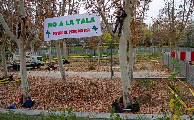 La Policía ha desalojado a los activistas que se habían abrazado a los árboles. Fuentes de la Delegación del Gobierno han indicado que tres personas han sido detenidas en el marco de estas protestas, por resistencia y desobediencia a la autoridad.