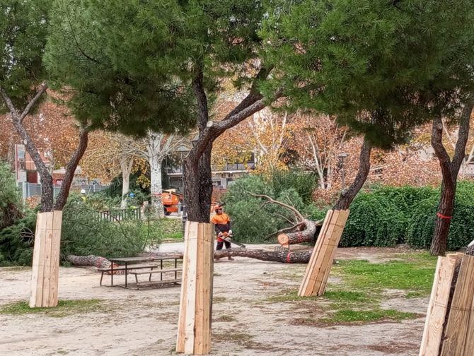 El portavoz del PP en la Asamblea de Madrid, Carlos Díaz-Pache, ha celebrado el arranque de las obras de la Línea 11 de Metro de Madrid y ha recordado a los vecinos del entorno de Arganzuela que se hizo un trabajo de evaluación para poder 'salvar el mayor número de árboles posible'.