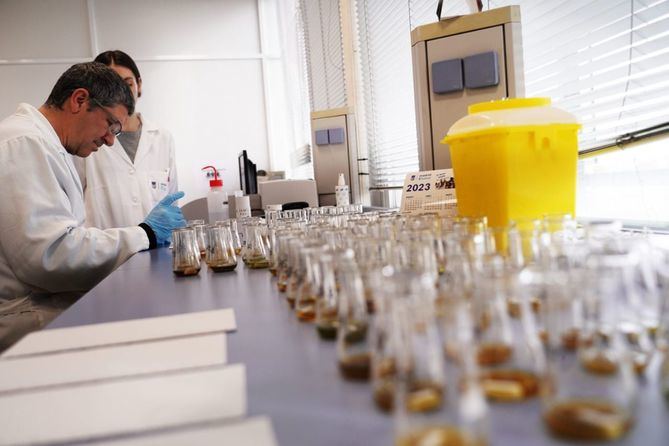 Además de alimentos, agua y muestras de aire, el Laboratorio de Salud Pública de Madrid Salud analiza también, entre otras cosas, muestras de alcohol e identifica tipos de setas.