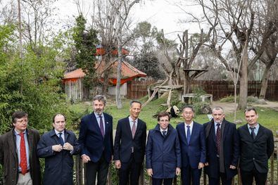 Almeida ha visitado el Zoo Aquarium donde se ha renovado el acuerdo con la asociación China Wildlife Conservation Association para la conservación y cría de los osos panda.