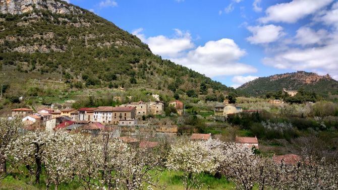 El 'Valle de las Sensaciones', un espectáculo natural, con más de 50.000 cerezos en flor en el norte de Burgos