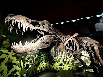 La fascinación por el origen de los dinosaurios