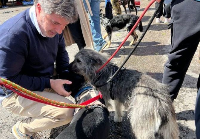 Los escolares barajeños han impulsado esta iniciativa de celebrar una jornada de adopción y apadrinamiento de mascotas en el distrito, según ha recordado Peña.