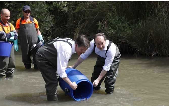 Las especies que han pasado a formar parte del caudal del río son la boga, la bermejuela, la colmilleja y el cacho que habitaron el río hasta mediados del siglo XX y desaparecieron tras las modificaciones sufridas en su hábitat.