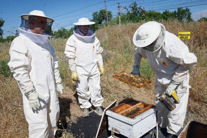 El consejero de Medio Ambiente, Agricultura e Interior, Carlos Novillo, ha presentado esta iniciativa en el Parque de Bomberos de Coslada, coincidiendo con el Día Mundial de este insecto, destacando la importancia que tiene para los ecosistemas.