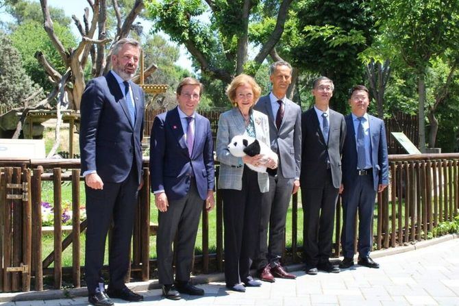 Su Majestad la Reina Sofía presidió la presentación oficial de la nueva pareja de pandas en el Zoo Aquarium de Madrid acompañados por el embajador de la República Popular China, Yao Jing, junto con una delegación de la Base de Investigación Chengdu de Cría de Pandas Gigante, el alcalde de Madrid, José Luis Martínez-Almeida, el CEO de Parques Reunidos Group, Pascal Ferracci, y el director del Acuario Zoológico de Madrid, Enrique Pérez.