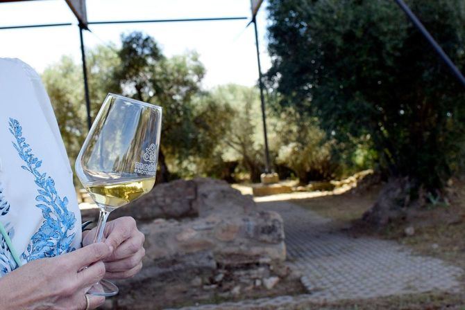 El Ayuntamiento quiere promover así nuevas propuestas vinculadas a la cultura del vino y a la gastronomía, una de las principales motivaciones de visita a la capital.