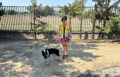 Voluntarios, con el Centro de Protección Animal