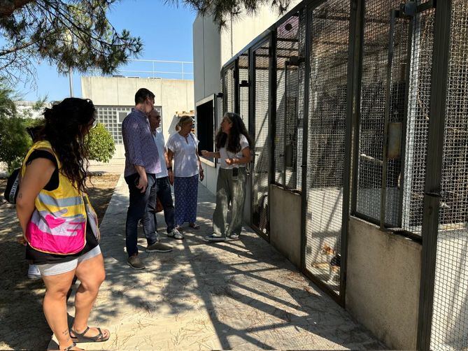 El delegado de Políticas Sociales, Familia e Igualdad, José Fernández, y el concejal de Latina, Alberto González, han visitado hoy el Centro de Protección Animal del Ayuntamiento de Madrid, donde Voluntarios por Madrid realiza una labor de acompañamiento a los perros y gatos que encuentran refugio en este recurso municipal.