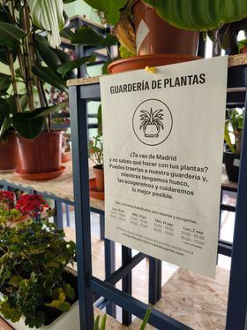 El refugio cuenta con espacios de trabajo y relax, fuentes de agua, rincones de ajedrez y lectura o una guardería de plantas, donde se podrán dejar las plantas durante las vacaciones.